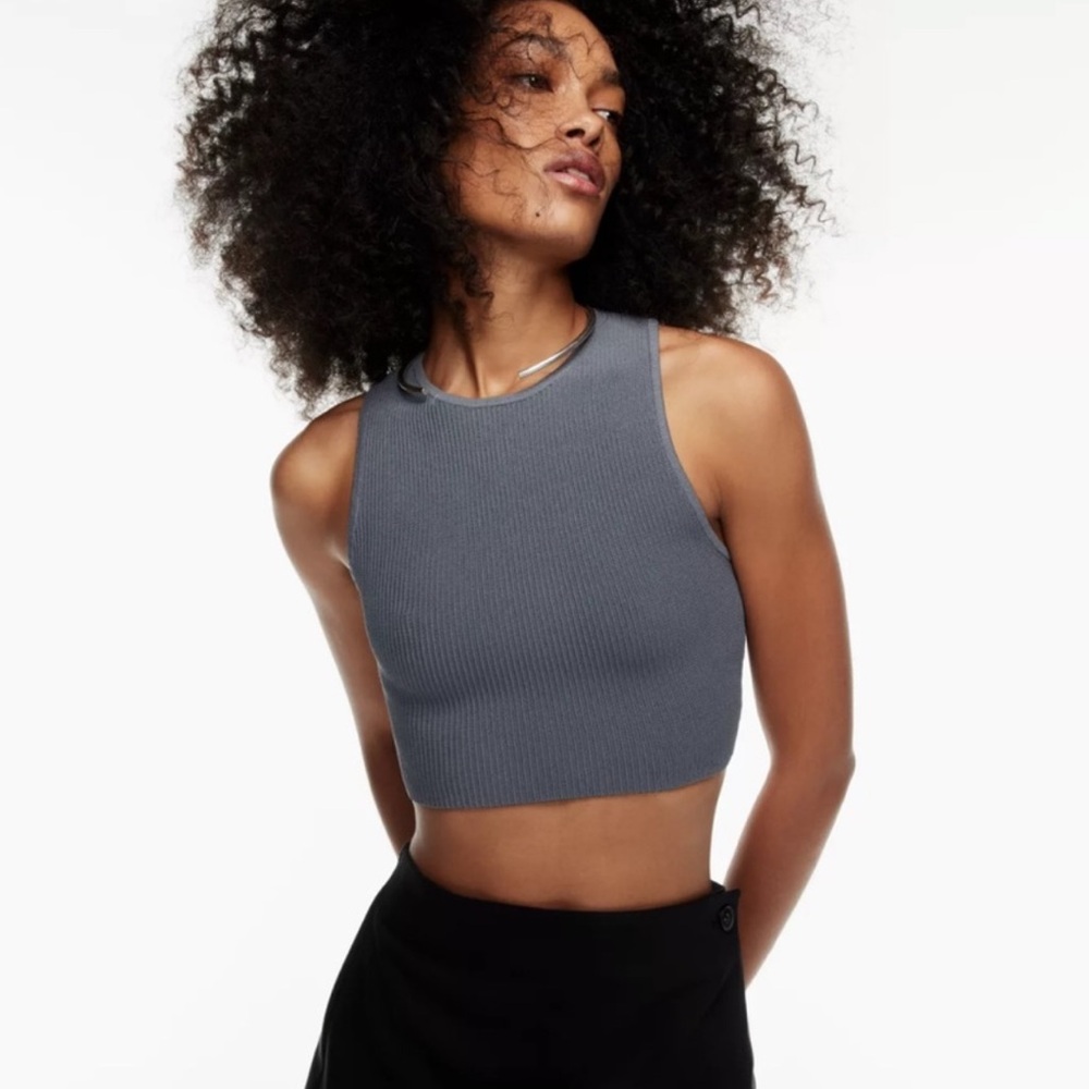 Aritzia Babaton Gray Ribbed Sculpt Knit Racer Crop Tank